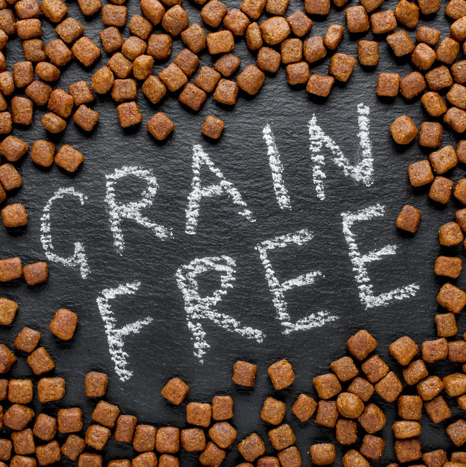 are grains in dog food bad for dogs